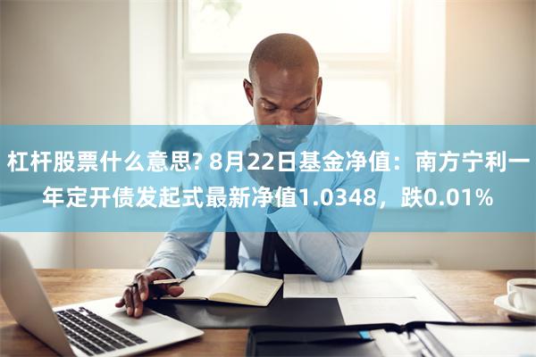 杠杆股票什么意思? 8月22日基金净值：南方宁利一年定开债发起式最新净值1.0348，跌0.01%