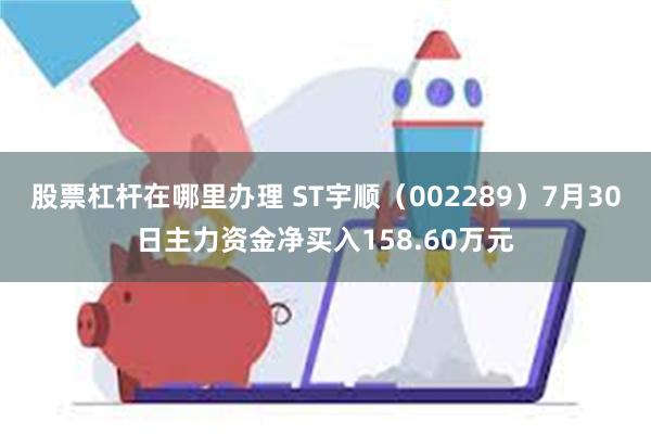 股票杠杆在哪里办理 ST宇顺（002289）7月30日主力资金净买入158.60万元