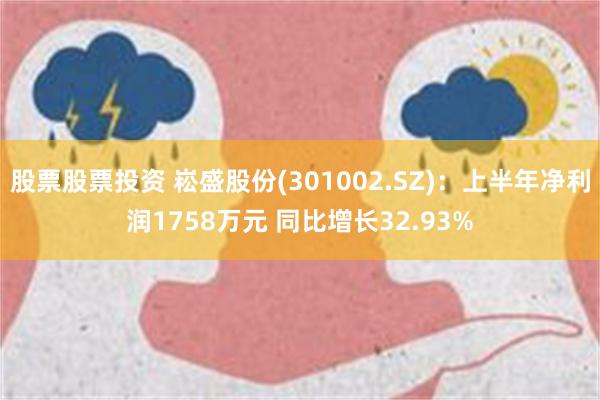 股票股票投资 崧盛股份(301002.SZ)：上半年净利润1758万元 同比增长32.93%