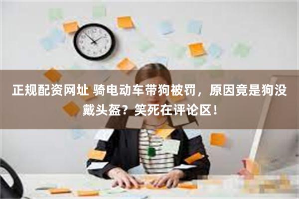 正规配资网址 骑电动车带狗被罚，原因竟是狗没戴头盔？笑死在评论区！