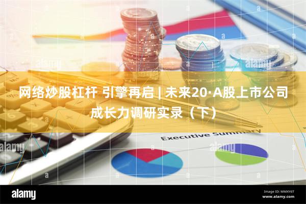 网络炒股杠杆 引擎再启 | 未来20·A股上市公司成长力调研实录（下）