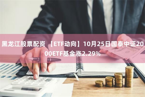 黑龙江股票配资 【ETF动向】10月25日国泰中证2000ETF基金涨2.29%