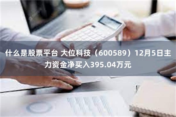 什么是股票平台 大位科技（600589）12月5日主力资金净买入395.04万元