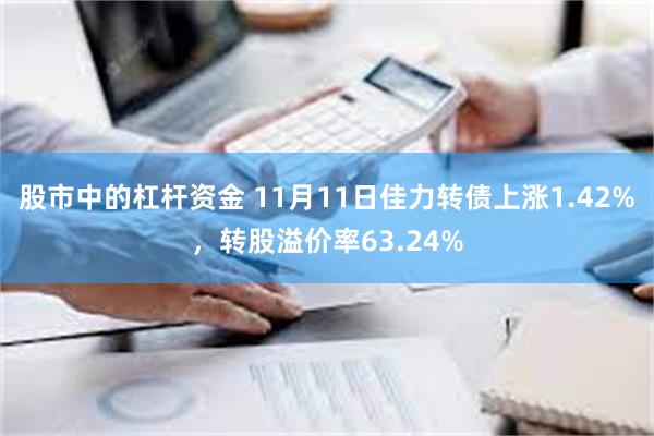 股市中的杠杆资金 11月11日佳力转债上涨1.42%，转股溢价率63.24%