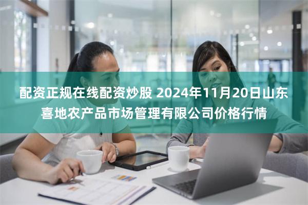 配资正规在线配资炒股 2024年11月20日山东喜地农产品市场管理有限公司价格行情