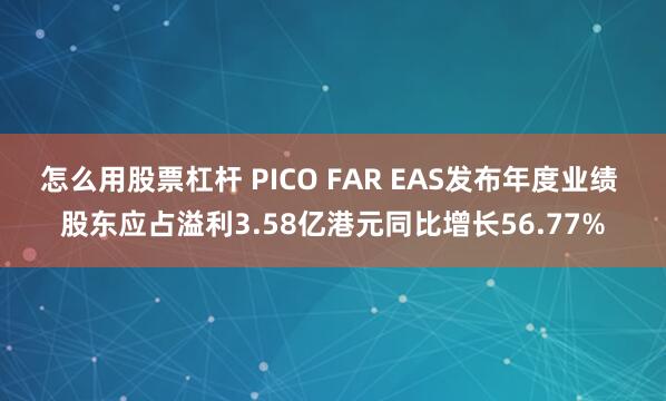 怎么用股票杠杆 PICO FAR EAS发布年度业绩 股东应占溢利3.58亿港元同比增长56.77%