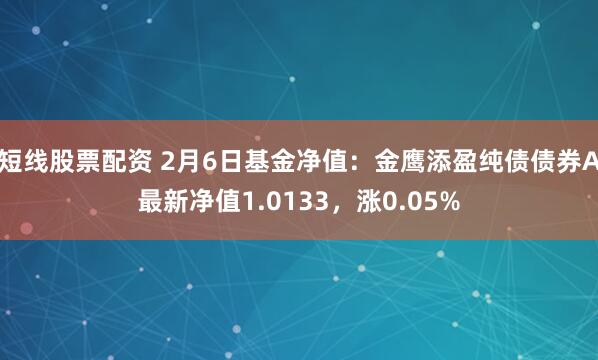 短线股票配资 2月6日基金净值：金鹰添盈纯债债券A最新净值1.0133，涨0.05%