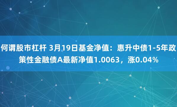 何谓股市杠杆 3月19日基金净值：惠升中债1-5年政策性金融债A最新净值1.0063，涨0.04%